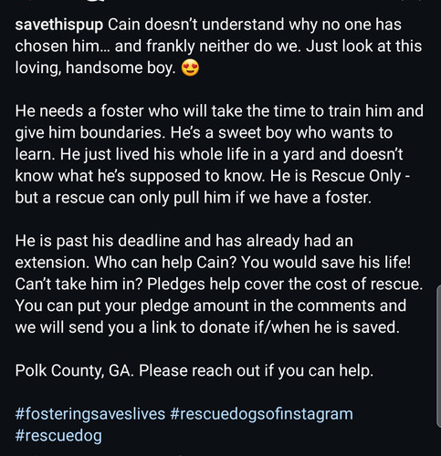 G HNsYuWEAAaBxj?format=jpg.jpg