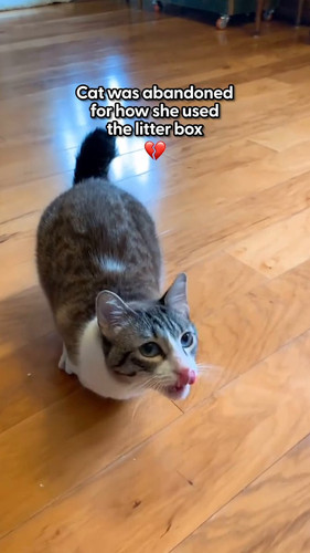 m8cZR 36VOWokQFz.jpg