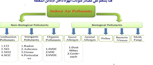 msedge mlvn1dgR78.png