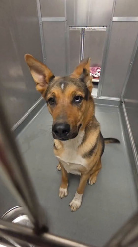 Vb8Y0m 85rmORXra.jpg