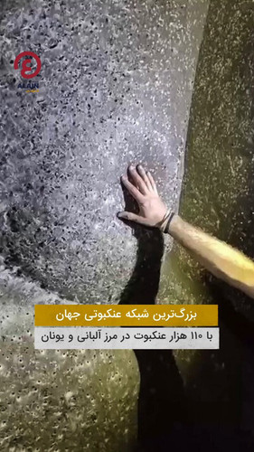 mBDnDCFz4l 7rE2s.jpg