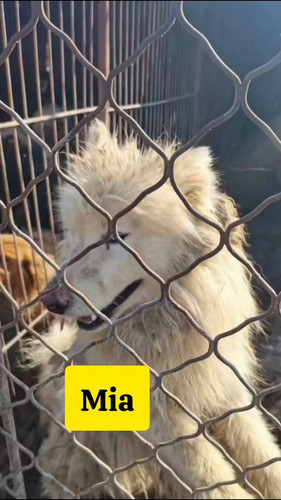 xa LpR6Op2GxDqRI.jpg