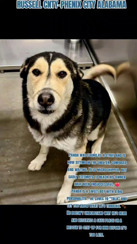 Gpa0x6UXYAlZL Cx.jpg