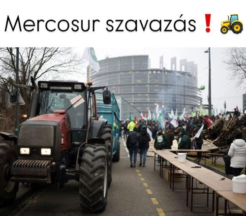 616623162 1201638948821647 8138572325399155937 n.jpg?stp=dst jpg s590x590 tt6& nc cat=101&ccb=1 7& n.jpg