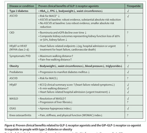 G F8w9LW0AERYz4?format=jpg.jpg