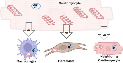 G KXXSAWQAA5l9E?format=jpg.jpg