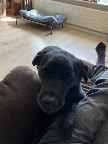 G GfplXXwAAJeMr?format=jpg.jpg