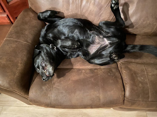 G GfplBXcAAq3qu?format=jpg.jpg