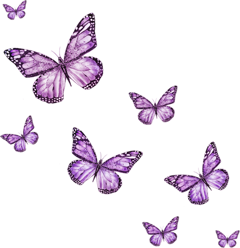 WM Element (184).png
