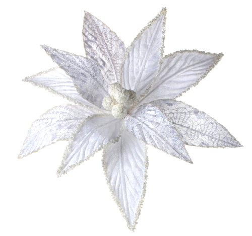 WM Element (126).png