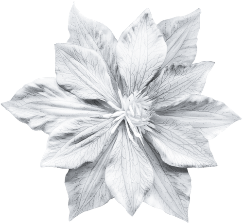 WM Element (127).png