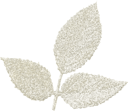 WM Element (148).png