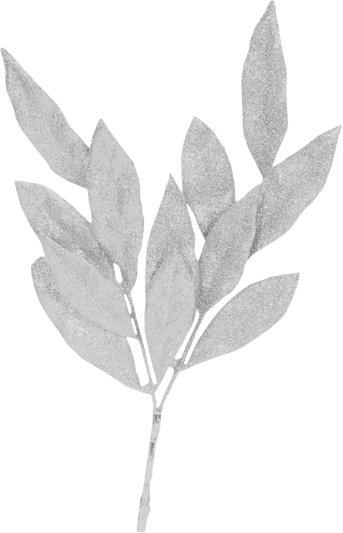 WM Element (146).png
