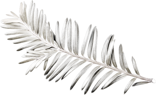 WM Element (143).png