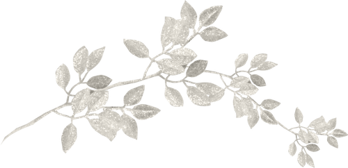 WM Element (149).png