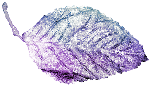 WM Element (145).png