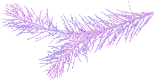 WM Element (144).png