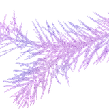 WM Element (144)