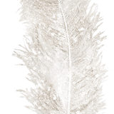 WM Element (41).png