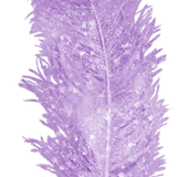 WM Element (31).png