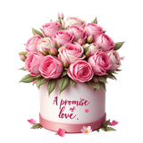 MSD PROMISEOFLOVE ELEM46