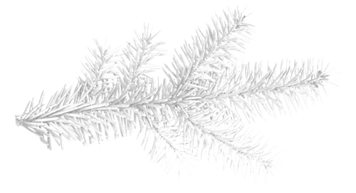 WM Element (152).png