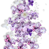 WM Element (177).png