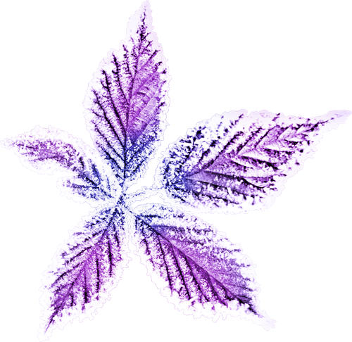 WM Element (158).png