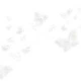 WM Element (182)