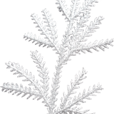 WM Element (156).png