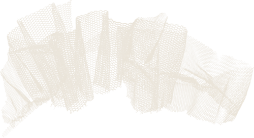 WM Element (69).png