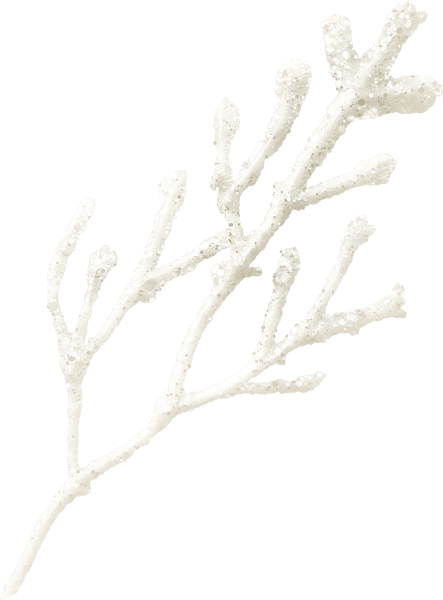 WM Element (78).png