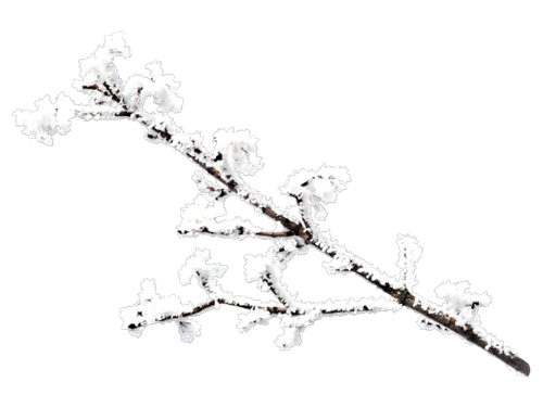 WM Element (55).png