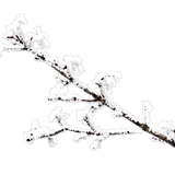 WM Element (55)
