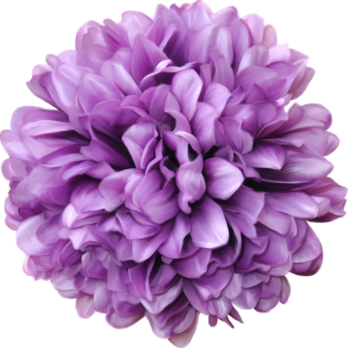 WM Element (114).png