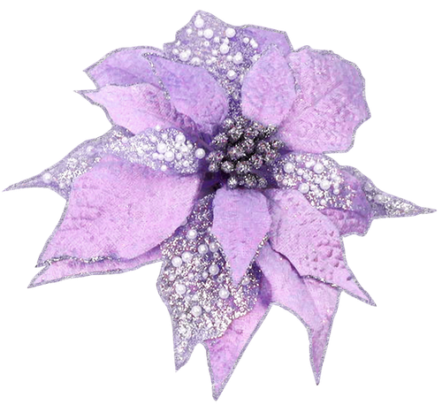 WM Element (115).png