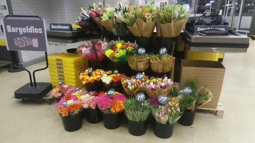 2026 01 12 08.01.55.jpg