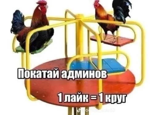 e421dfb9d2c9.webp