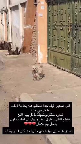 5u4LA9uqoyu31QKK.jpg
