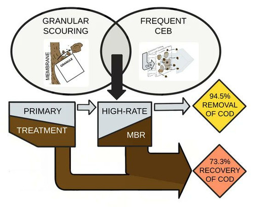 G KwgxxWgAEKauB?format=jpg.jpg