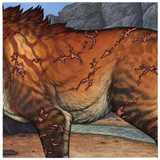 IMG 3738.png