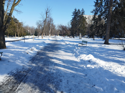 IMG 20260120 125554.jpg
