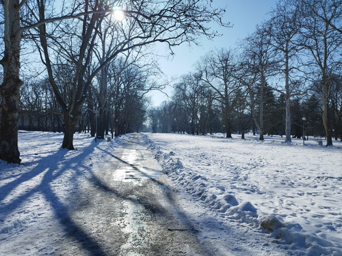 IMG 20260120 130119.jpg