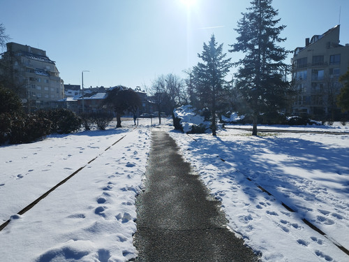 IMG 20260120 125224.jpg