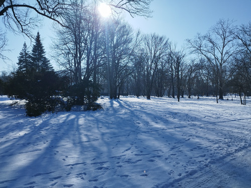 IMG 20260120 130044.jpg