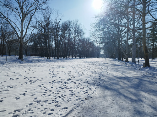 IMG 20260120 130142.jpg