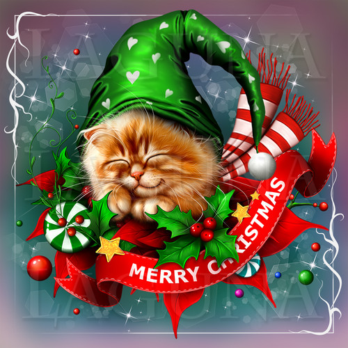 kitty sleeping in christmas decor.jpg