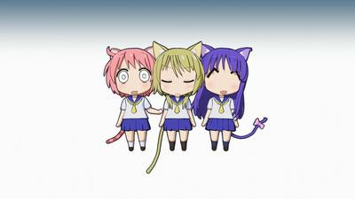 bd0e3ecaee72.jpg