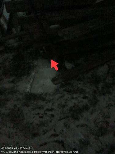 IMG 20260120 182928 1.jpg