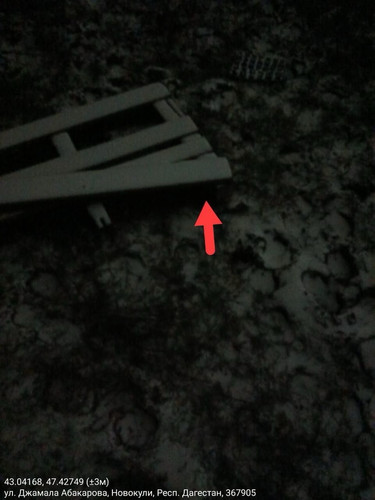 IMG 20260120 182857 2.jpg